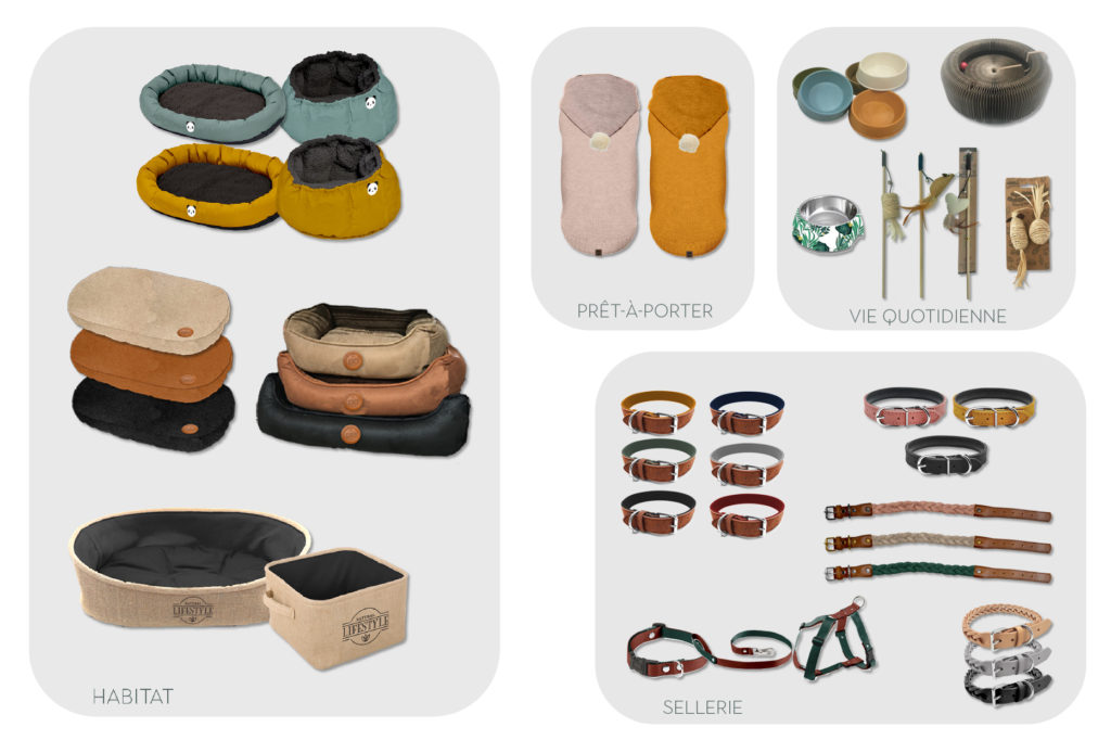 Canifrance / Bobby ©Spicy nature – Collection 2019