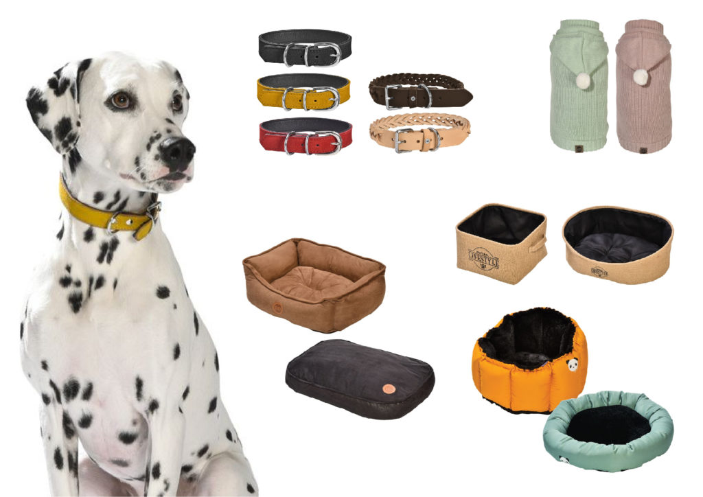 Canifrance / Bobby ©Spicy nature – Collection 2019