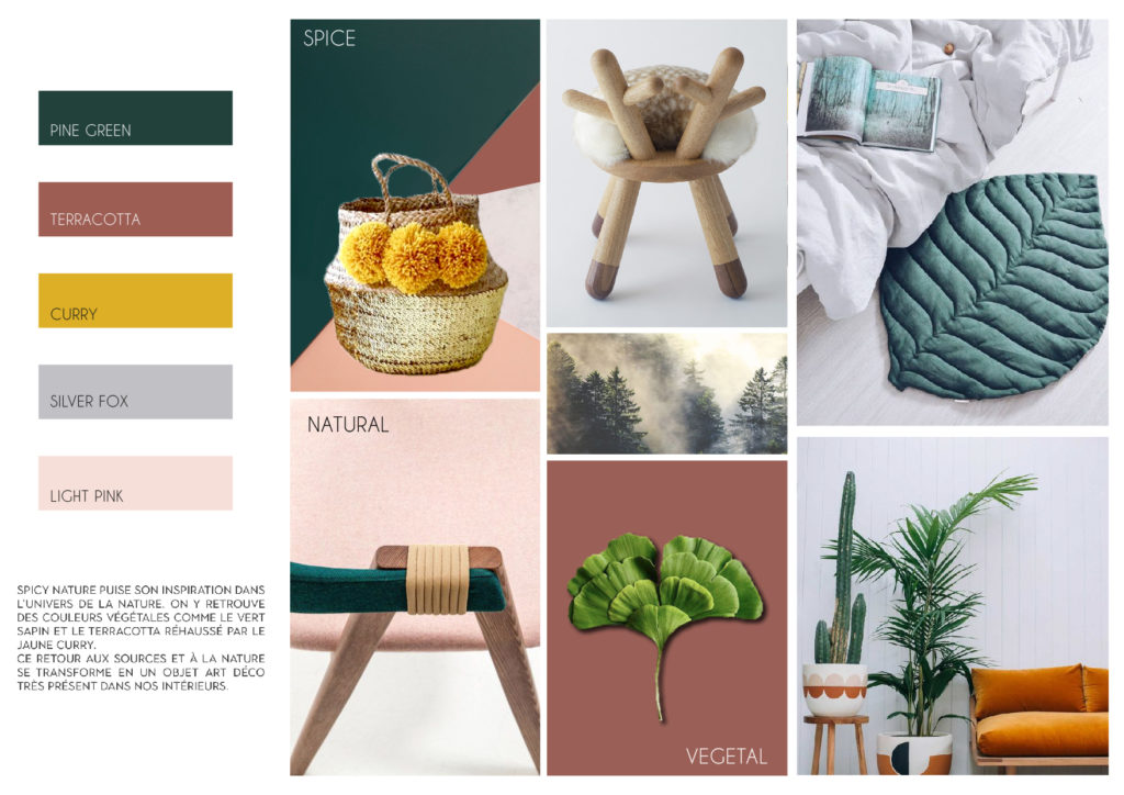 Canifrance / Bobby ©Spicy nature – Collection 2019