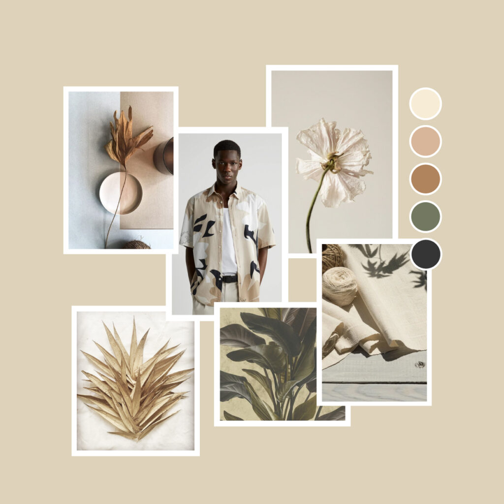 Nature aride planche